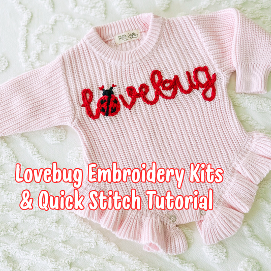 Embroidery DIY Lovebug Kit with Quick Stitch Guide
