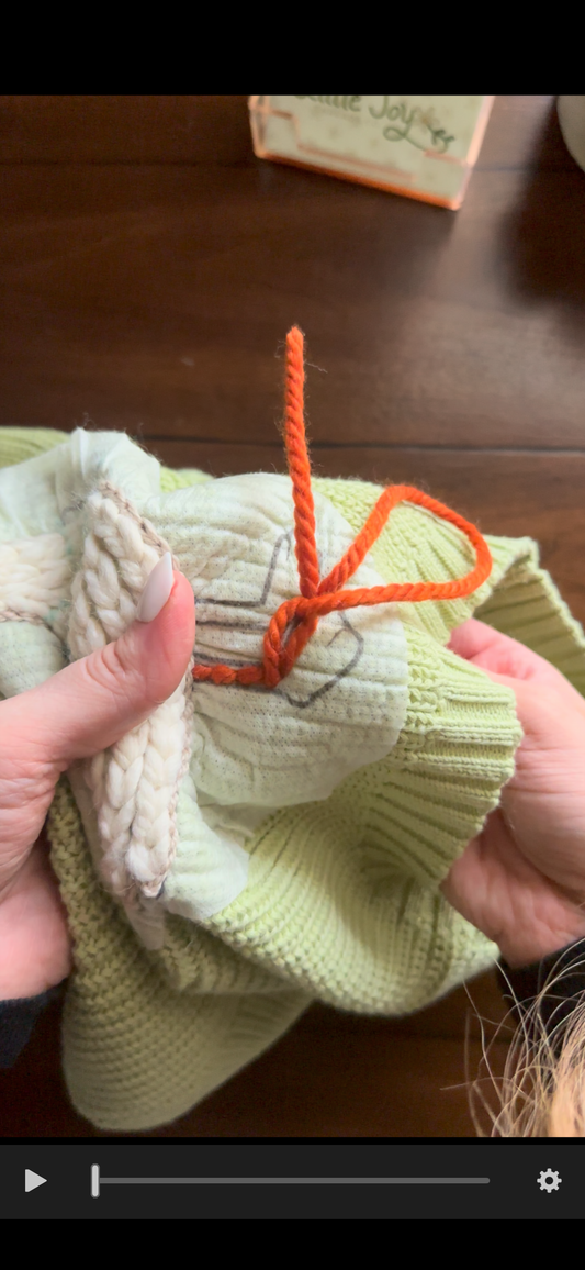 Duck, Duck Goose Embroidery DIY with Full Stitch Tutorial